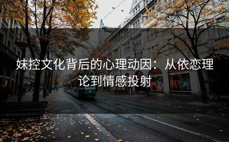 妹控文化背后的心理动因：从依恋理论到情感投射  第1张