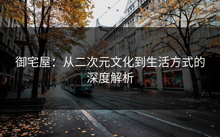御宅屋：从二次元文化到生活方式的深度解析