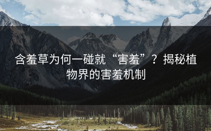 含羞草为何一碰就“害羞”？揭秘植物界的害羞机制